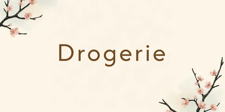 Deckblatt Drogerie im Japandi Zweige Design