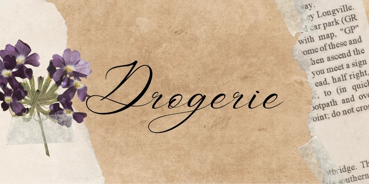 Deckblatt Drogerie im Purple Paper Design
