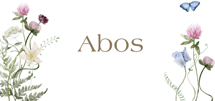 Deckblatt Abos im Spring Design