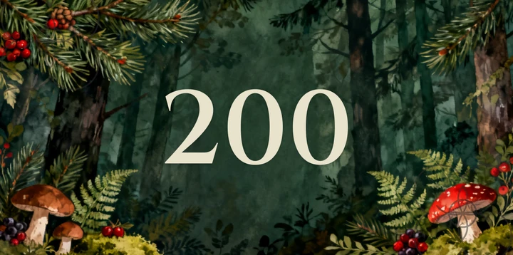 Platzhalterkarte 200 Euro im Wald Design